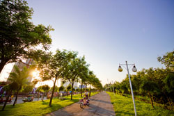 JRWD_20140815_ind3_01.jpg